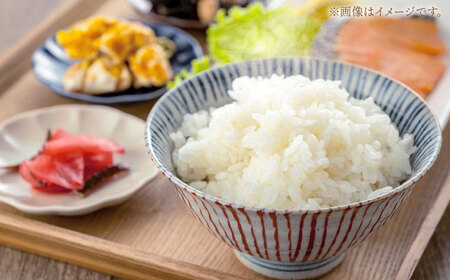 令和7年産 コシヒカリ 5kg 白川町 / 白川町農業開発[AWAH030]