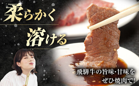 【3回定期便】飛騨牛 焼肉用肩ロース 700g 白川町 / 浅井商店[AWBJ015] 飛騨牛
