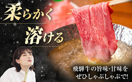 【6回定期便】飛騨牛 牛しゃぶ用肩ロース 700g 白川町 / 浅井商店[AWBJ022] 飛騨牛