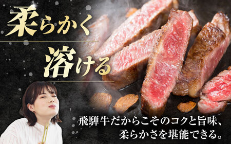 【3回定期便】飛騨牛 ステーキ用計500g 白川町 / 浅井商店[AWBJ030] 飛騨牛
