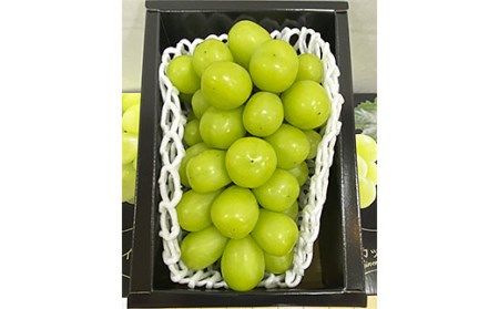 厳選シャインマスカット 秀品 600g以上 1房入 1箱 [前半] 【令和8年産先行予約】FS25-678 くだもの 果物 フルーツ 山形 山形県 山形市 2026年産