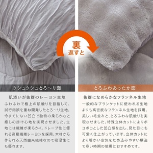ホットとろーり　リバーシブルピローケース　【標準サイズ43×63cm】ベージュ _ ホット とろーり リバーシブル ピローケース 標準サイズ 43 × 63cm カラー ベージュ ファスナー式 洗える なめらかな肌触り オールシーズン 吸湿 清潔 江崎ふとん 久留米市 送料無料  〔Qc181-be〕