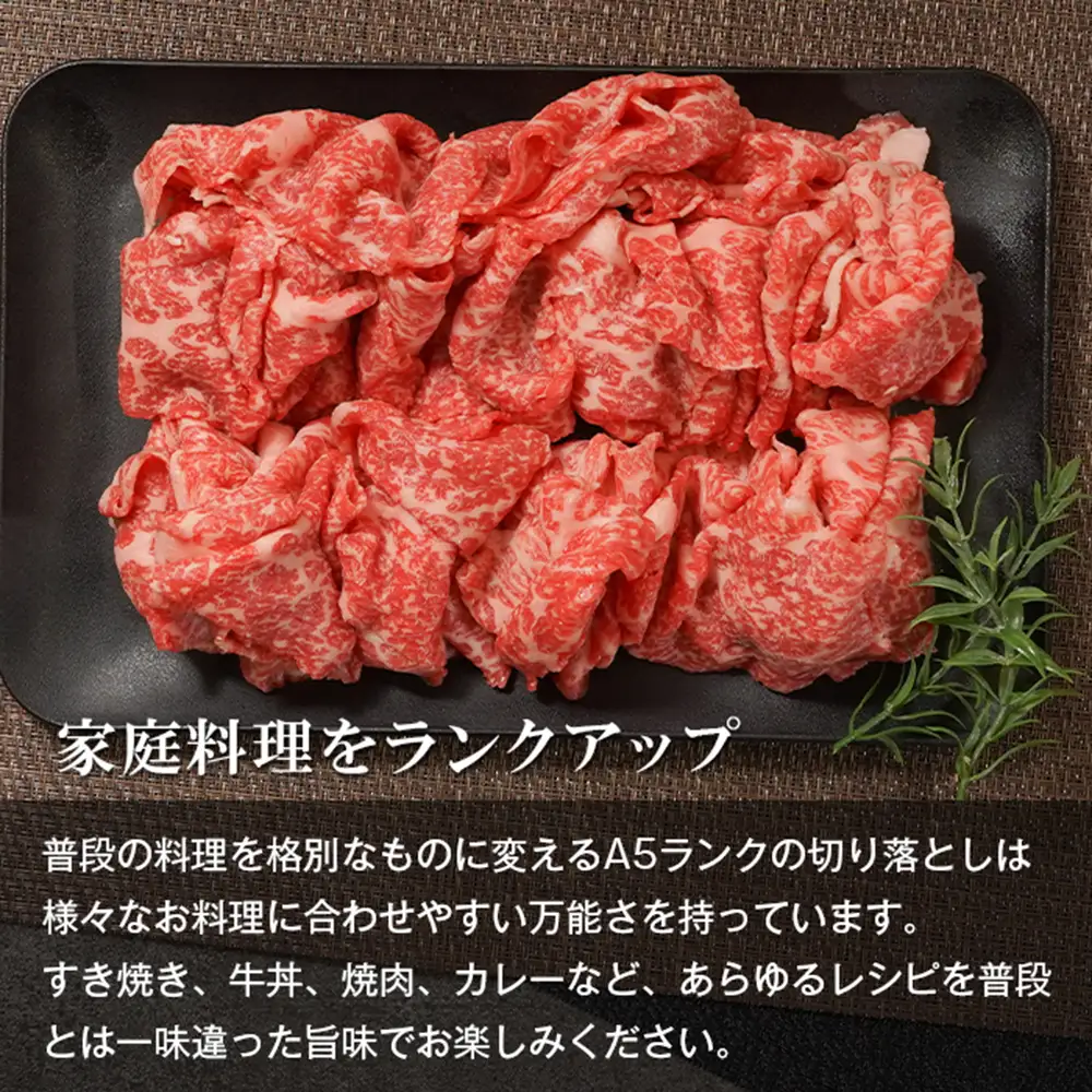 【A5ランク限定】淡路島産黒毛和牛 切り落とし 1kg（500g×2PC）【神戸牛】