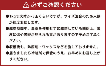 環境マイスターのグレープフルーツ 良品・訳あり混合 10kg （栽培期間中は無肥料・農薬不使用） 果物 くだもの フルーツ グレープフルーツ 柑橘 【2026年3月下旬～6月上旬迄順次発送予定】
