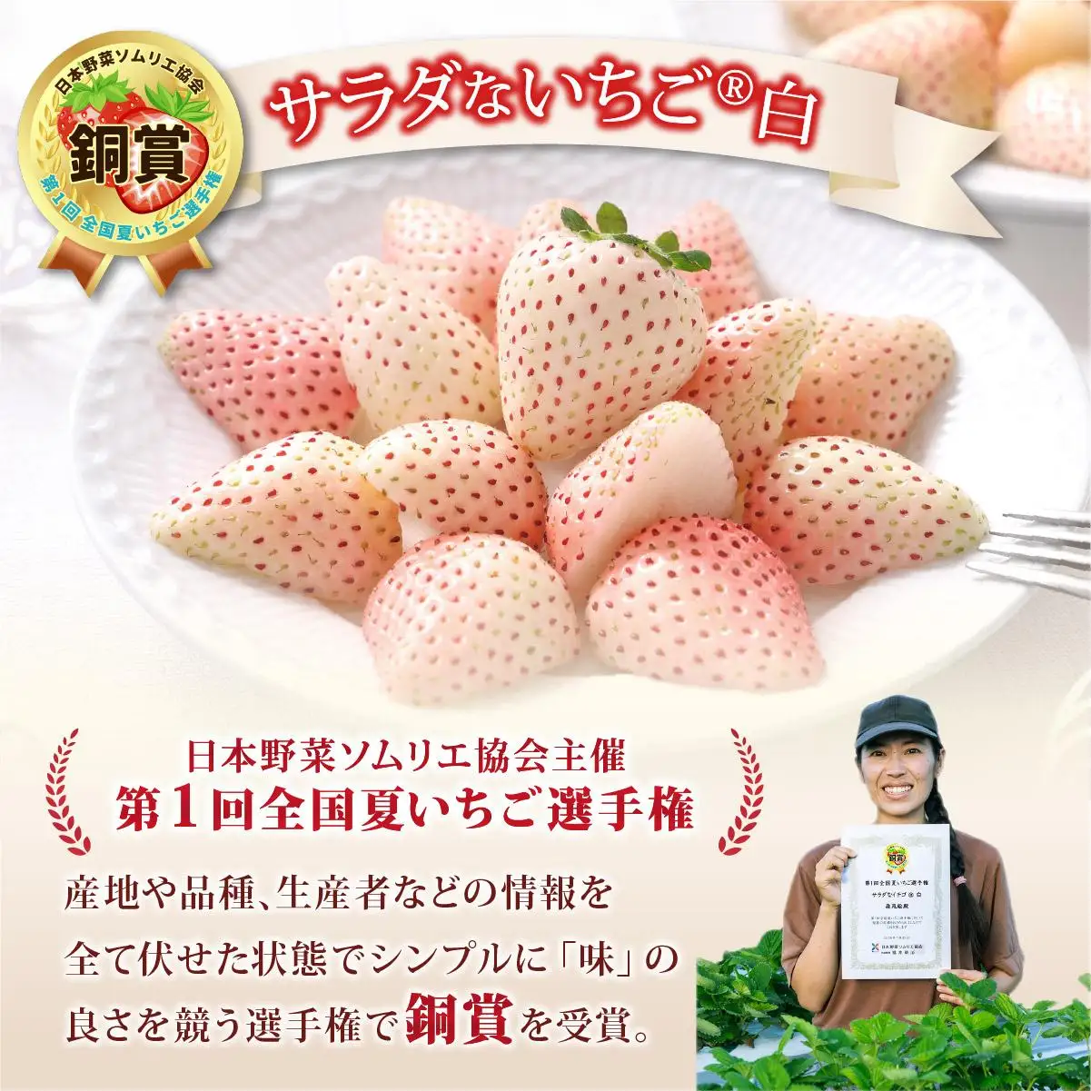 ＜2026年先行予約＞ サラダないちご（白）ご褒美 苺 最旬 贈答 ギフト プレゼント 果物 フルーツ イチゴ 北海道 伊達【ecg-001】
