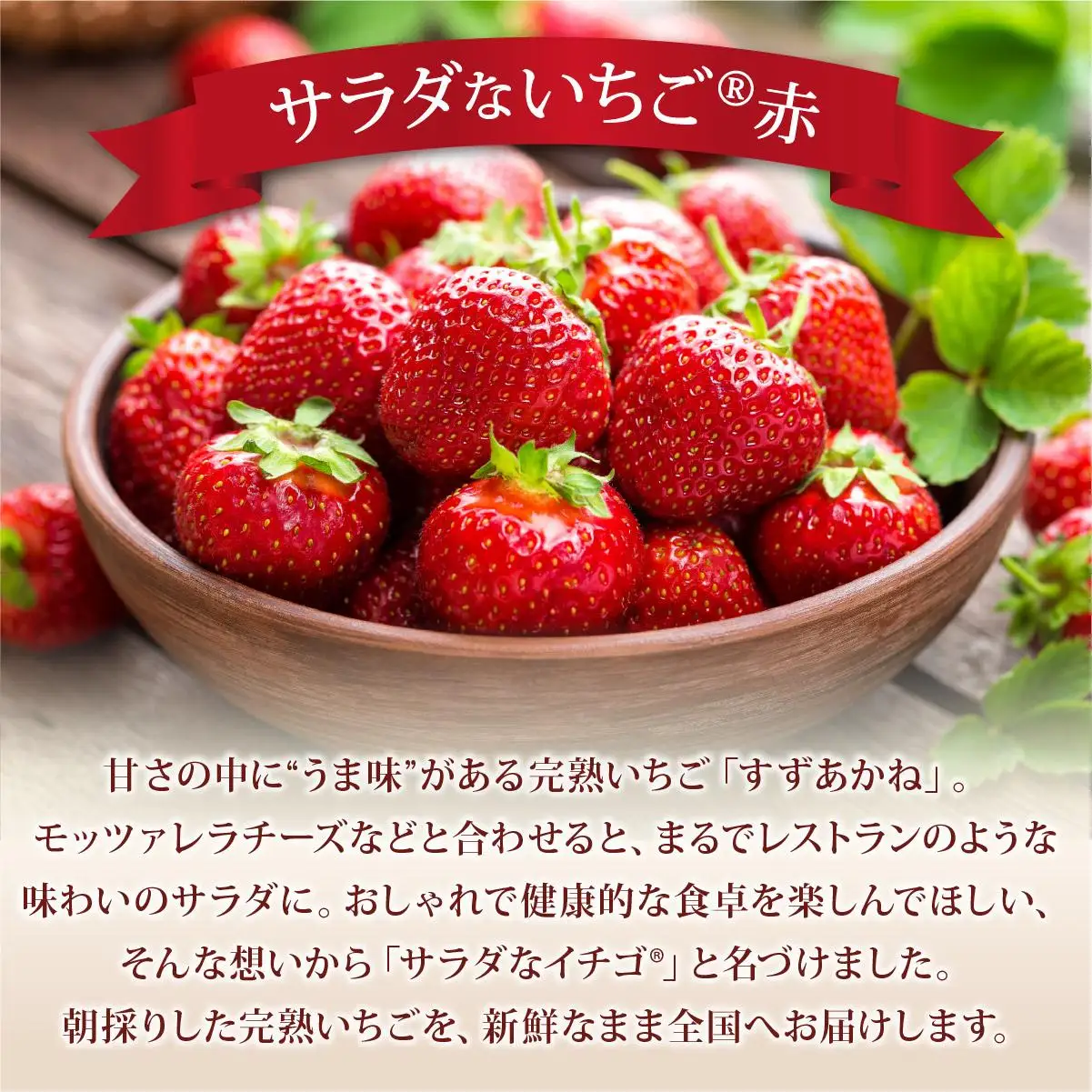 ＜2026年先行予約＞ サラダないちご（赤・白）ご褒美 苺 最旬 贈答 ギフト プレゼント 果物 フルーツ イチゴ 北海道 伊達【ecg-003】