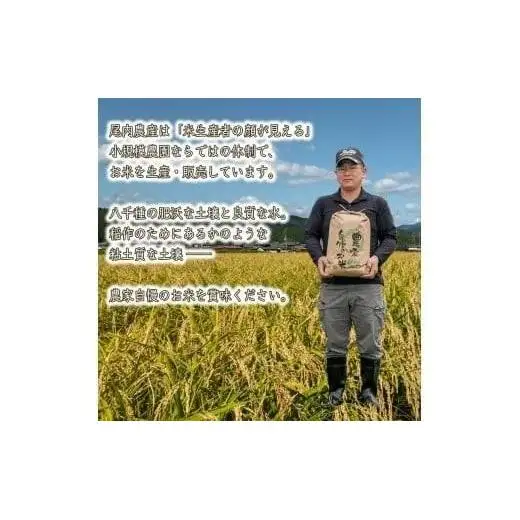 【精米】【 最短 翌日発送 】令和7年産 ヒノヒカリ 八千種米 お米 5kg ごはん 兵庫県産 世界かんがい施設遺産登録『西光寺野疏水路』