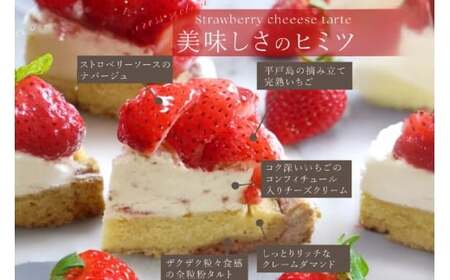 ケーキ タルト 8種 食べ比べ 1ホール分 18cm [心優-Cotoyu Sweets- 長崎県 平戸市 hr42bjo490249]