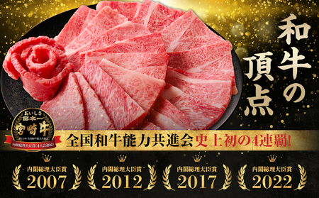 【5か月定期便】宮崎牛焼肉定期便 宮崎牛 牛肉 お肉 国産牛 ブランド牛 和牛 焼肉 スライス ステーキ サイコロステーキ ウデ焼肉 モモ焼肉 定期便 霜降り 贈答用 贈答 贈り物 プレゼント 記念日 誕生日 内祝い グルメ BBQ 焼き肉 アウトドア ミヤチク お祝い ホームパーティー おもてなし _Tk031-t029