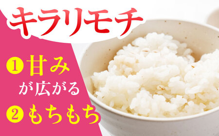 【プチプチのもち麦】 キラリモチ 900g （300g×3袋）【大塚米穀店】 雑穀 雑穀米 佐賀[HBL083]