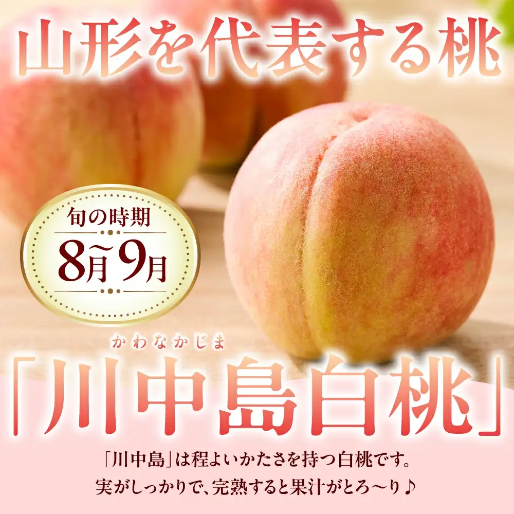 もも ( 川中島白桃 ) 3kg フルーツ 果物 山形 桃