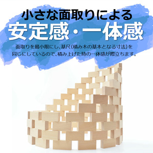 【ギフト対応OK！】小さな大工さんセットA_自然素材の積み木 積み木 小さな大工さん 成長期 知育 玩具 想像力 創造性 専用箱付き 遊び方 無限大 安心安全 無塗装 無着色 安定感 一体感 木遊び おもちゃ ドミノ 選べるセット 子ども 誕生日 プレゼント 出産祝い 福岡県 久留米市 送料無料 〔Sx201〕