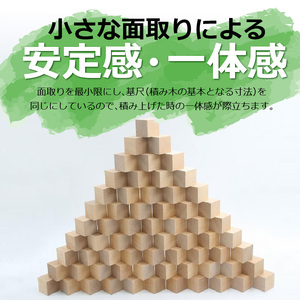 【ギフト対応OK！】小さな大工さんセットB_自然素材の積み木 積み木 小さな大工さん 成長期 知育 玩具 想像力 創造性 専用箱付き 遊び方 無限大 安心安全 無塗装 無着色 安定感 一体感 木遊び おもちゃ ドミノ 選べるセット 子ども 誕生日 プレゼント 出産祝い 福岡県 久留米市 送料無料 〔Sx202〕