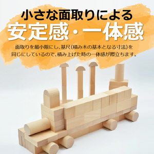 【ギフト対応OK！】小さな大工さんセットC_PEFC認証 小さな大工さんセットC 100ピース 5種類 専用箱付き 立方体 直方体 円柱 半円 ぶな材 玩具 おもちゃ つみき 子ども 無塗装 無着色 木製 体感 遊び 木遊び ドミノ 倒し 親子 楽しむ 知育玩具 ギフト 誕生日 出産祝い プレゼント 送料無料 〔Sx203〕
