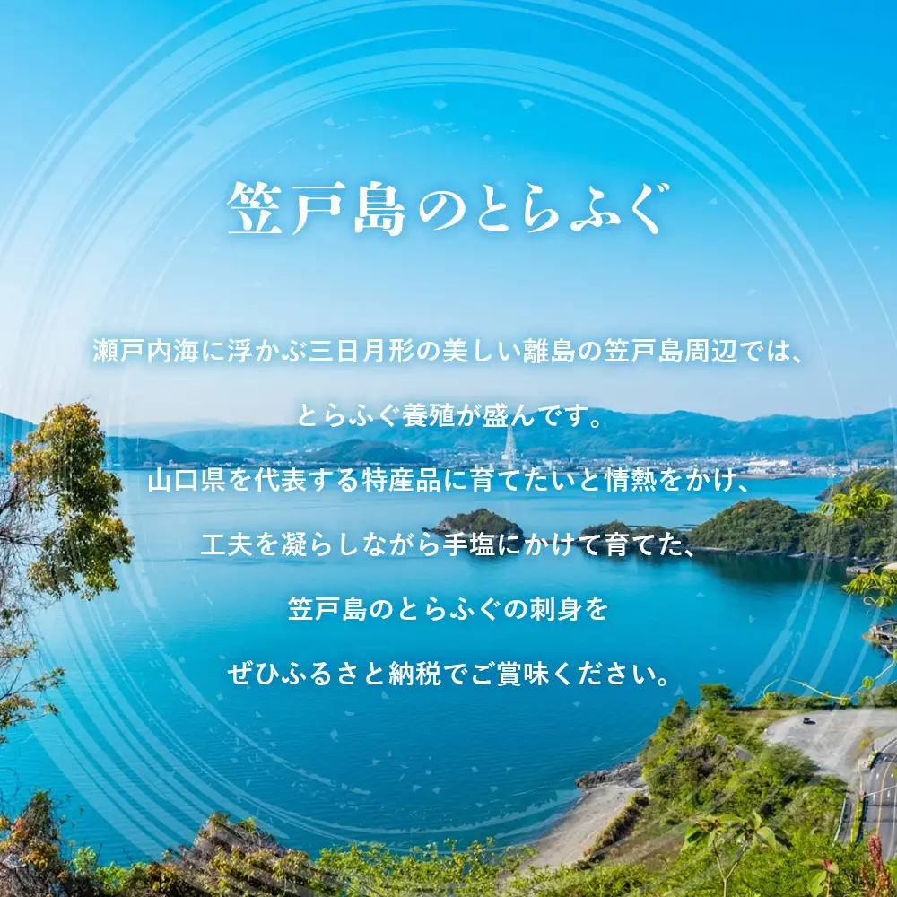 下松産　とらふぐお刺身（陶器皿）約2～3人前【引換券】 ／ お造り フグ 養殖 山口県 特産品 No.095