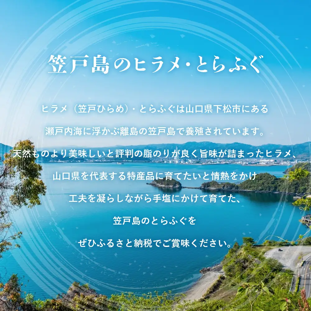 笠戸ひらめ・とらふぐ　お刺身（陶器皿）約2～3人前【引換券】 ／ ヒラメ さしみ トラフグ 山口県 No.188