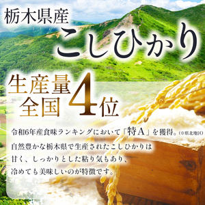 【3回定期便】栃木県産 コシヒカリ 20kg | 栃木県 下野市