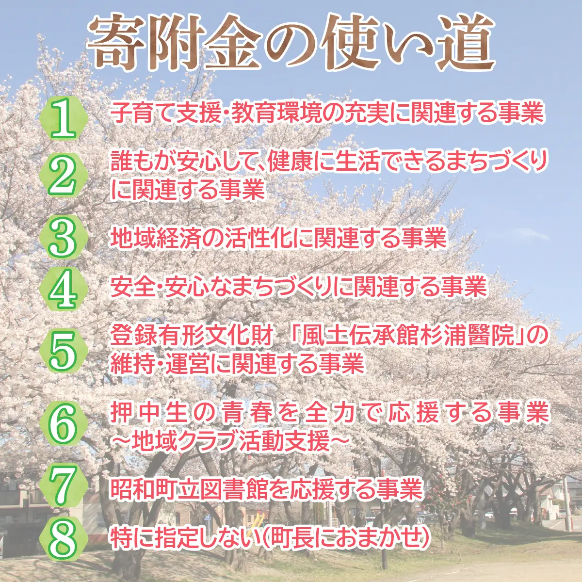 山梨県昭和町 応援寄附＜5,000円＞※返礼品なし SW001-3