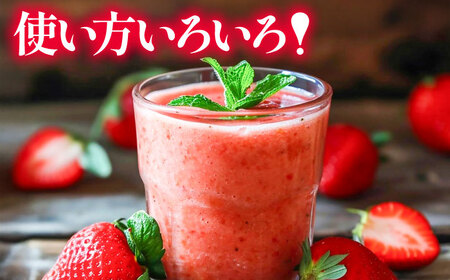 【訳あり】福岡県産 冷凍あまおう500g(250g×2個) [VEG011]いちご 苺 イチゴ 取り寄せ