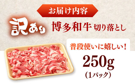 【訳あり】【A4-A5】博多和牛 切り落とし 250g [VEG026]牛肉 和牛 国産牛 訳アリ