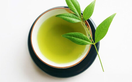 八女茶【特上】煎茶セット 100g×2袋 [VEH018]