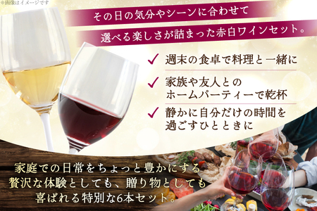 ワイン 韮崎産 赤白ワイン 飲み比べ 6本セット 750ml×6本 [株式会社まあめいく 山梨県 韮崎市 20745327] 