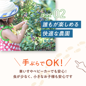 【6月～8月】 ブルーベリー狩り ペアチケット 【時間無制限・食べ放題】