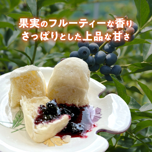 ブルーベリーソース 3本 180g×3 ブルーベリー
