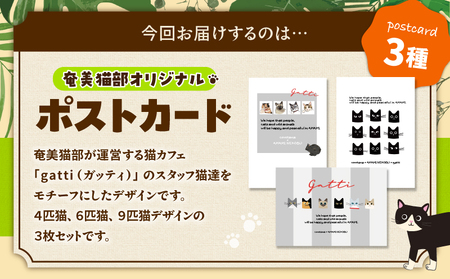 【 奄美 の 保護猫支援 （ ワクチン 代 ）】 ＋ ポストカード 3枚 セット A071-007 お手紙 猫デザイン 3種 オリジナルポストカード 保護猫プロジェクト cafeCOVOTANA ふるさと納税 鹿児島 奄美市 おすすめ ランキング プレゼント ギフト