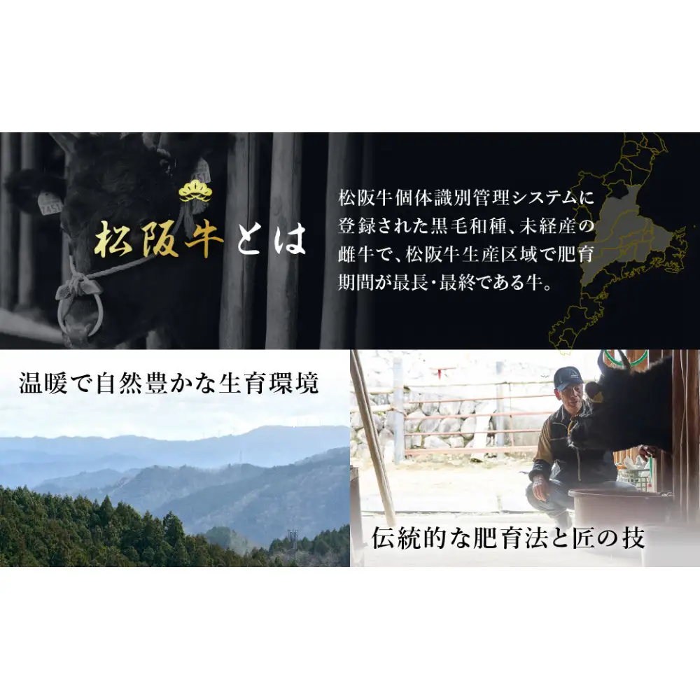 松阪牛ビーフカレー 200g×4箱（4人前）