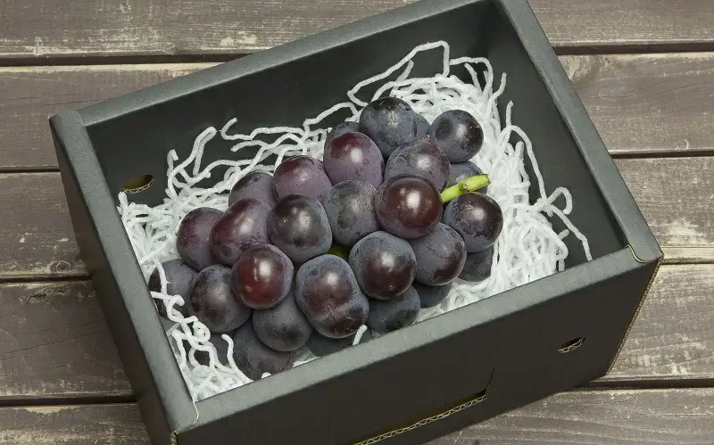 ぶどう ( 種なし ピオーネ ) 約 2kg フルーツ 果物 山形