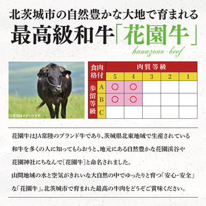 花園牛 サーロイン又はリブロース 約1kg【牛肉 ブランド牛 サーロイン リブロース お肉 贅沢 冷凍 茨城県 北茨城市】(DC004)