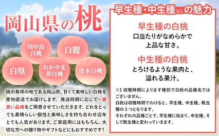 岡山白桃 ロイヤル 約600g 株式会社はちや 桃 【配送不可地域あり】