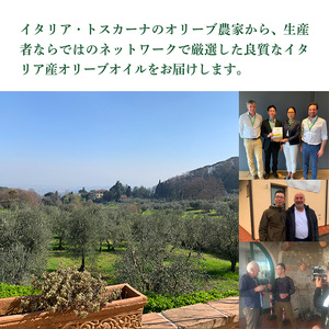 有機栽培 朝摘み シチリア産 エキストラバージンオリーブオイル2本 隔月6回 定期便 セット オーガニック 調味料 油 オリーブ油 食用油 ギフト 袋井市 静岡県