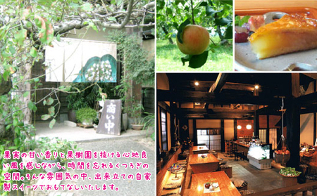 アップルパイ ホール 林檎と葡萄の樹 テレビや催事でも人気 酸味と甘さの絶妙なバランス 配送不可 離島 スイーツ サクサク ジューシー りんご リンゴ 