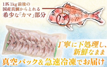 国産 真鯛カマ 約1.5kg (約750g×2パック) 大容量 無塩 冷凍【 鯛めし】[m78-a007]