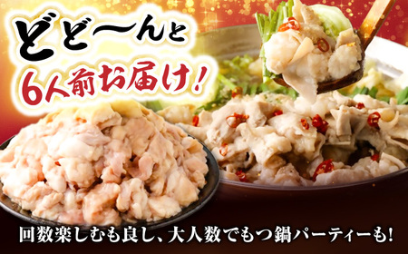 国産もつ入りミックスもつ鍋（白醤油）6人前セット 広川町 / 株式会社POWER EAST CONNECTION[AFAZ049]