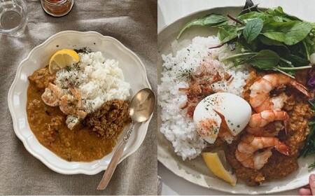 エビココナッツカレー スパイス キット 4人分 合計4人分セット （147g×1個） ／ レシピ付き カレー エビ ココナッツ 手作り 簡単調理 北海道 北広島市 常温