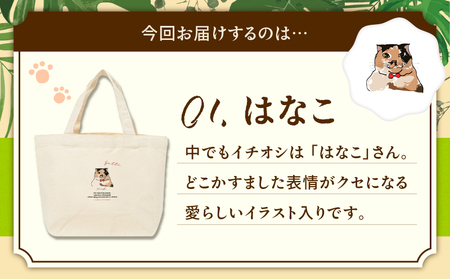【 奄美 の 保護猫支援 （ ワクチン 代 ）】 ＋ ミニトートバッグ （ はなこ ） A071-010-01 トートバッグ バッグ 鞄 カバン かばん お弁当入れ キャンバス生地 厚手 保護猫プロジェクト cafeCOVOTANA ふるさと納税 鹿児島 奄美市 おすすめ ランキング プレゼント ギフト