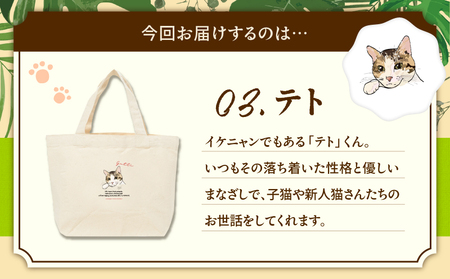 【 奄美 の 保護猫支援 （ ワクチン 代 ）】 ＋ ミニトートバッグ （ テト ） A071-010-03 トートバッグ バッグ 鞄 カバン かばん お弁当入れ キャンバス生地 厚手 保護猫プロジェクト cafeCOVOTANA ふるさと納税 鹿児島 奄美市 おすすめ ランキング プレゼント ギフト