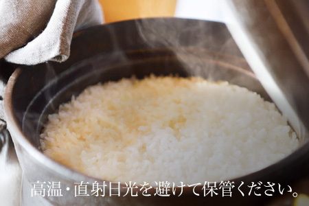【定期便 10kg 3ヶ月 】【令和7年産】白米 ななつぼし 一等米 精米 ブランド米  定期便 [108-07]