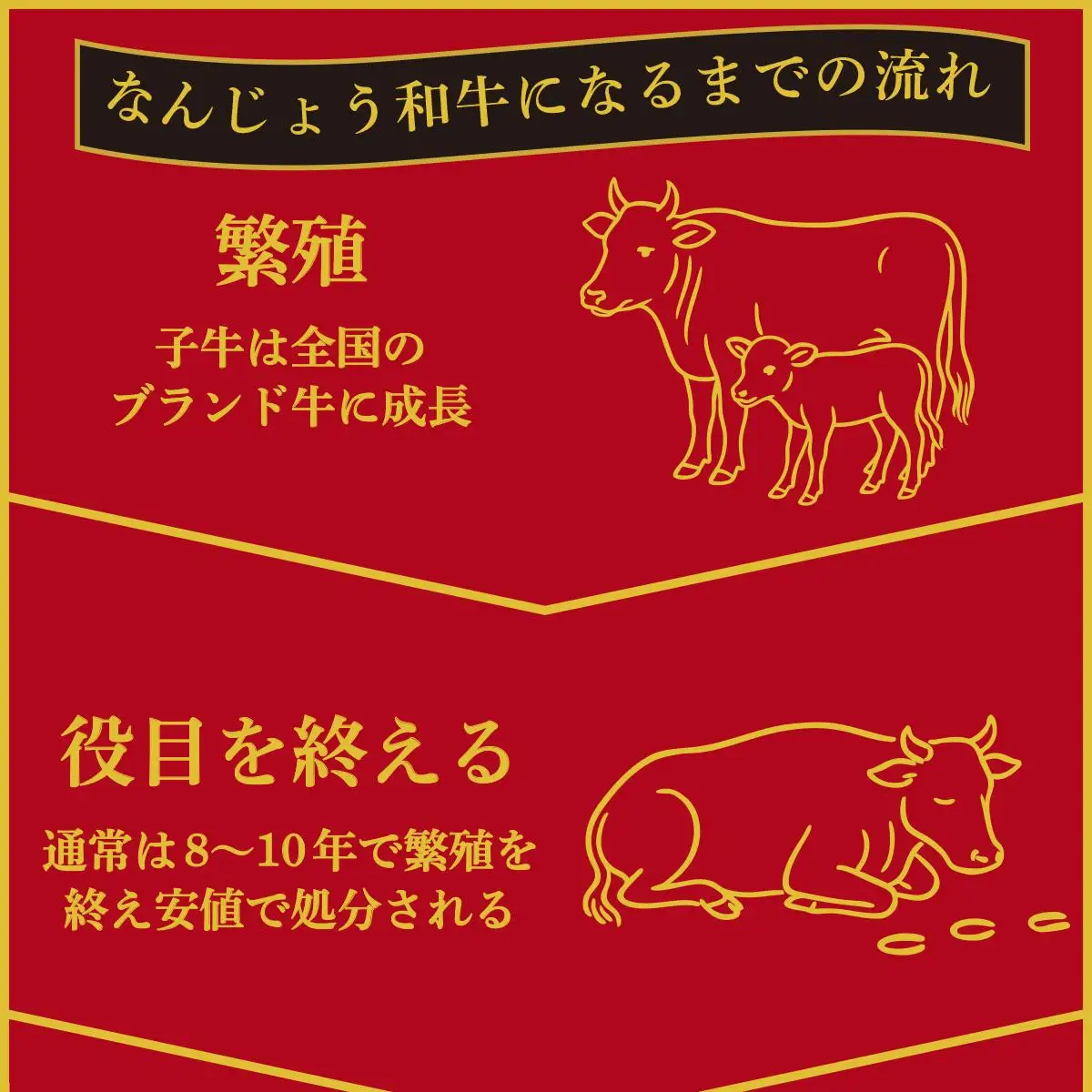 和牛しゃぶしゃぶ用 200g×10パック 合計2000g なんじょう和牛   