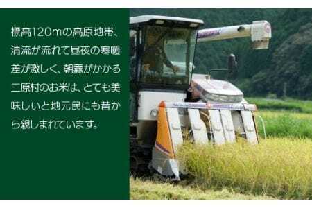 ししとう家族の宅配便?