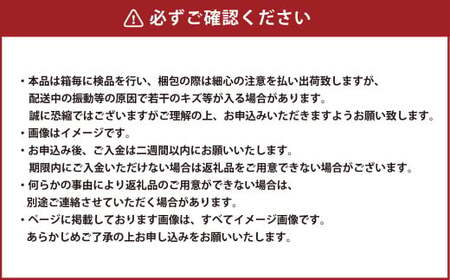 岡山県産 ニューピオーネ 約800g（約400g×2房） 【2026年6月下旬～7月下旬発送予定】 ピオーネ ぶどう 葡萄 ブドウ 種なし
