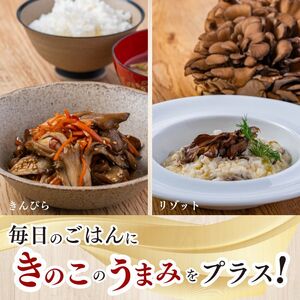 ジャンボまいたけ 1.5kg（500g×3）セット【北海道きのこ品評会 最優秀賞受賞】【遠藤農産】きのこ キノコ セット 詰め合わせ 舞茸 国産 北海道産 北海道 比布町 ぴっぷ 1002-003