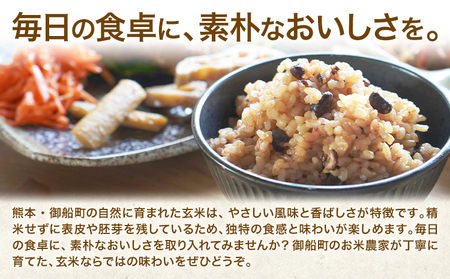 玄米 5kg さこんたろう《90日以内に発送予定(土日祝除く)》熊本県 御船町 コメ おこめ ごはん 熊本県産