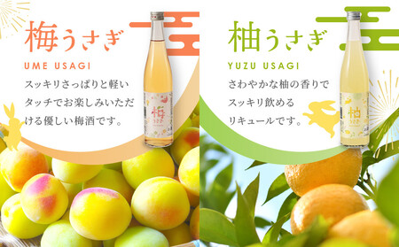 リキュール　うさぎセット　500ml×3本｜日本酒 お酒  フルーティー 飛騨高山 平田酒造場 LP008