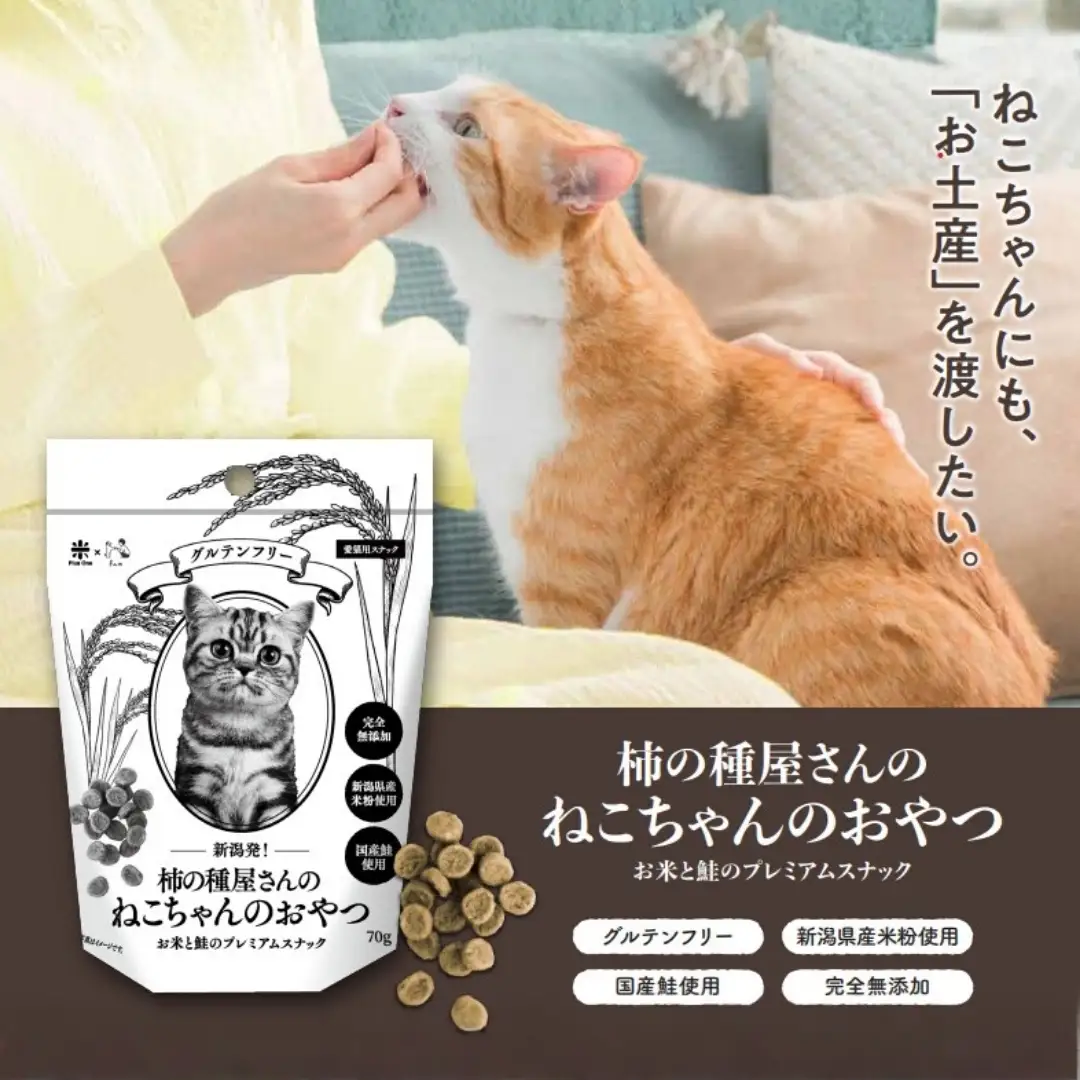 柿の種屋さんのねこちゃんのおやつ　お米と鮭のプレミアムスナック10個セット 阿部幸製菓【0002-0387-01】