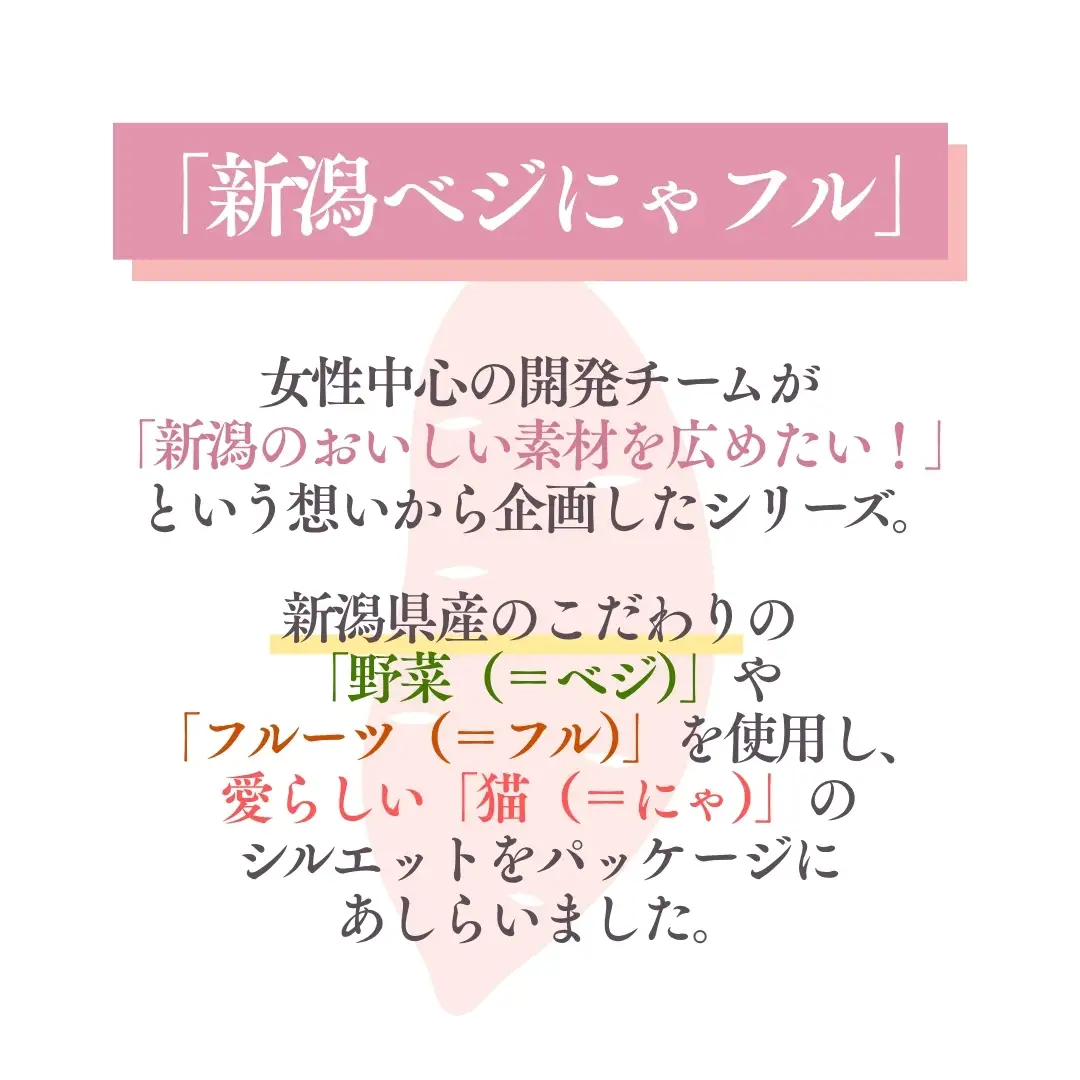 新潟ベジにゃフル いもジェンヌカレー 30袋セット 阿部幸製菓【0002-0388-01】