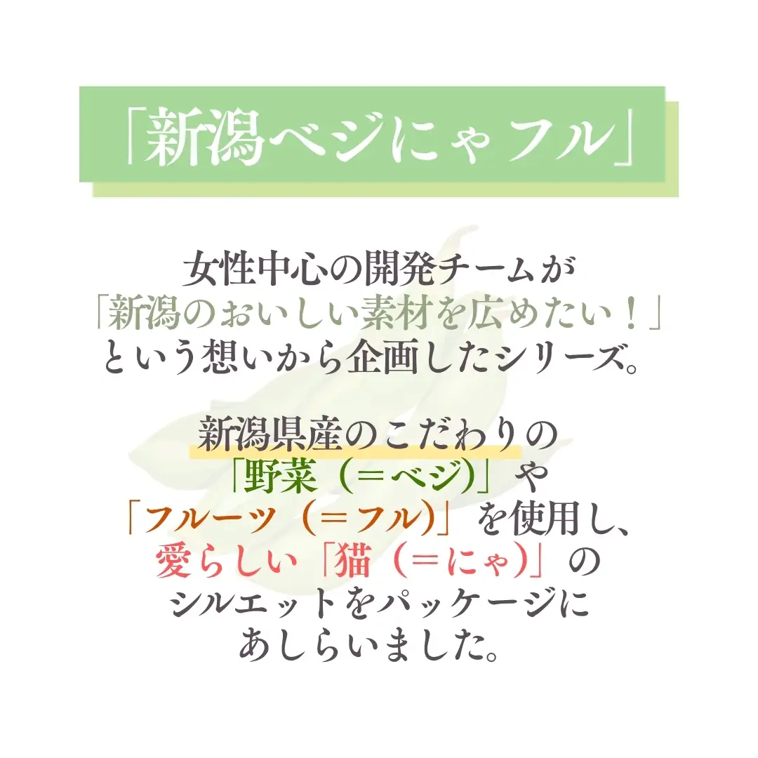 新潟ベジにゃフル くろさき茶豆ポタージュ 30袋セット 阿部幸製菓【0002-0389-01】